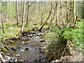 Springs Wood, Near Keswick