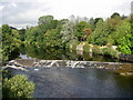 Autumn tints on the River Ericht at Blairgowrie