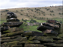 SK0189 : Higherfold Farm and Cown Edge by Dave Dunford