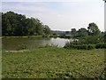 Fishing Lake, near Godstone