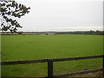 TL6058 : Newmarket & Cambridge Polo Club by mike
