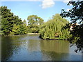 Fish pond at Cawkeld