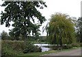 Mill Pond, near Hurst Green