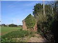 Overgrown public works building