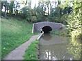 Light at the end of the tunnel, Newbold.