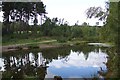 Pond on the Frimley Fuel Allotments