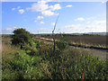 Drainage Ditch, Blue House Farm, West Horndon