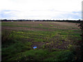 Looking towards Boundary Farm