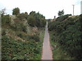 Cycleway at Rainworth