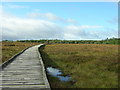 Langland Nature Reserve, East Kilbride