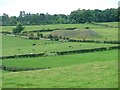 Coal Mine Spoil Tip