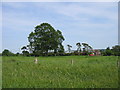 Field east of Yarpole