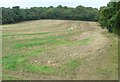 Field of wheat stubble on Hurst Hill, North of Horsham, West Sussex