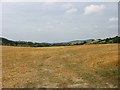 Field near Upper Lye