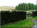 Public Bridleway, Greenends