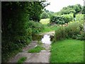 Ford at Lower Yeld