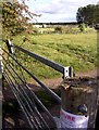 Allotments near Marcham