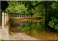 9 Mile River at the bridge on Durrington Road