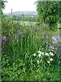 Deuchary Hill from Dalguise