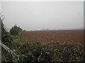 Farmland over Hockerton Moor