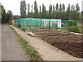 Welsh Harp Allotments