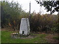 Trig Point, Castlebay Street, Milton