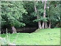 The Hindwell Brook near Combe