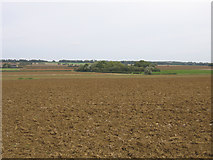 TL2446 : View towards Manor Farm, Wrestlingworth, Beds by Rodney Burton