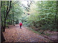 TQ0789 : Hillingdon Trail in Mad Bess Wood, Ruislip by David Hawgood