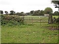 Pasture Land at Mithian Downs