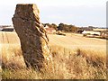 Easter Pitcorthie Standing Stone