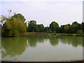 Hailsham Common Pond