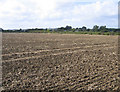 View near Fielden Court, Silsoe, Beds