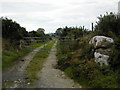 Farm track to Ty Mawr