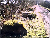 SC3074 : Big stones near Ballakew, St. Mark's by David Radcliffe