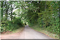 Wiveliscombe: Quakinghouse Lane