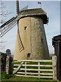 SZ6387 : Bembridge Windmill by Crispin Purdye