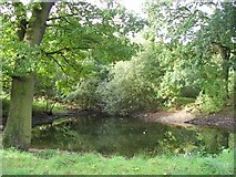 SJ6182 : Pond in Woods by Keith Williamson