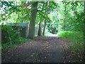 Bridleway on Esher Common