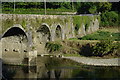 S6139 : Brownsbarn Bridge over the River Nore by Crispin Purdye