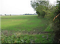 Farmland near Sutton, Nottinghamshire