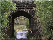 NT0308 : Greskine Arch by Roger May