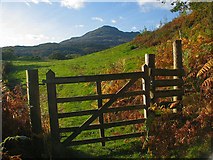 SH6941 : Gate leading out of Coed Ty-isaf by Barry Hunter