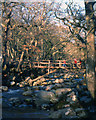 Footbridge, Dewerstone Wood