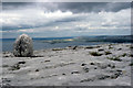 M2008 : Erratic on the plateau of Cappanawalla, The Burren: the calling-card of the last Ice Age. by Dr Charles Nelson