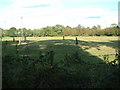 Farmland, St. Leonards