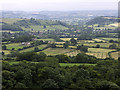 Near Ebbor Gorge looking South West across Easton