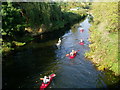 River Beult from Yalding Bridge