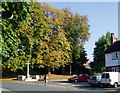 War Memorial Yalding