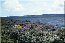 F8228 : Western shore of Lough Carrowmore, County Mayo by Dr Charles Nelson